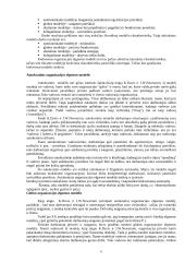 Organizacijos elgsenos modelių dinamika 6 puslapis