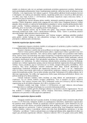 Organizacijos elgsenos modelių dinamika 7 puslapis