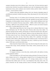 Pagrindiniai vertybinių popierių rinkų rodikliai 6 puslapis