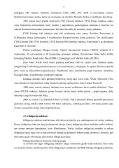 Pagrindiniai vertybinių popierių rinkų rodikliai 7 puslapis