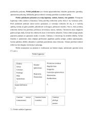 Prekių mokslo objektas, turinys, raida 4 puslapis