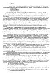 Protokolo ir etiketo pagrindai 2 puslapis