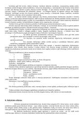 Protokolo ir etiketo pagrindai 11 puslapis