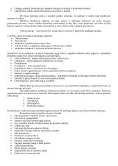 Protokolo ir etiketo pagrindai 13 puslapis