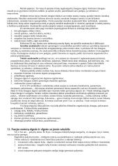 Protokolo ir etiketo pagrindai 16 puslapis