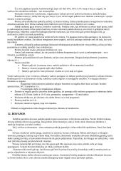 Protokolo ir etiketo pagrindai 17 puslapis