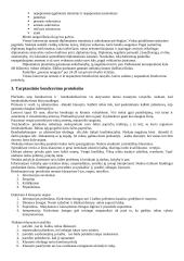 Protokolo ir etiketo pagrindai 3 puslapis