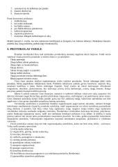 Protokolo ir etiketo pagrindai 4 puslapis