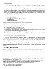 Protokolo ir etiketo pagrindai 5 puslapis