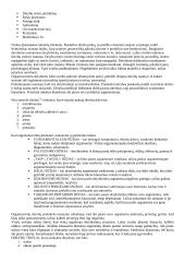 Protokolo ir etiketo pagrindai 6 puslapis