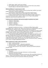 Protokolas ir etiketas versle 12 puslapis