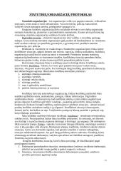 Protokolas ir etiketas versle 13 puslapis