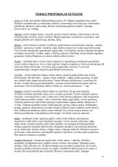 Protokolas ir etiketas versle 15 puslapis