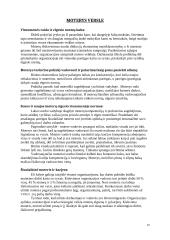 Protokolas ir etiketas versle 19 puslapis