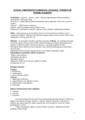 Protokolas ir etiketas versle 3 puslapis