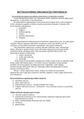 Protokolas ir etiketas versle 7 puslapis