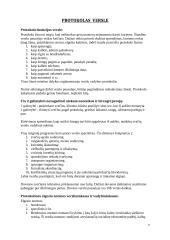 Protokolas ir etiketas versle 9 puslapis