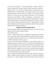 Regionų ekonomika 12 puslapis