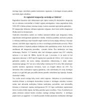 Regionų ekonomika 13 puslapis