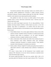 Regionų ekonomika 4 puslapis