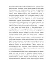 Regionų ekonomika 6 puslapis