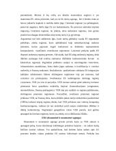 Regionų ekonomika 7 puslapis