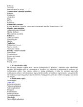 Rekreacijos esmė  11 puslapis