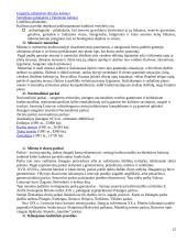 Rekreacijos esmė  12 puslapis