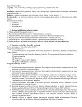 Rekreacijos esmė  7 puslapis