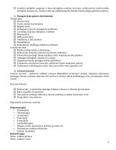 Rekreacijos esmė  8 puslapis