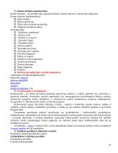 Rekreacijos esmė  10 puslapis