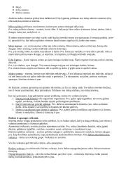 Socialinio darbo teorija 15 puslapis