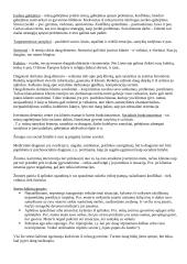 Socialinio darbo teorija 3 puslapis