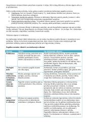 Socialinio darbo teorija 4 puslapis