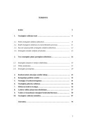 Strateginio valdymo paskaitų teorija 2 puslapis