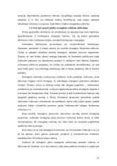 Strateginio valdymo paskaitų teorija 12 puslapis