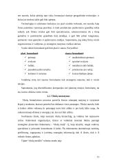 Strateginio valdymo paskaitų teorija 15 puslapis