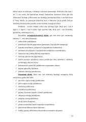 Strateginio valdymo paskaitų teorija 19 puslapis