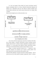 Strateginio valdymo paskaitų teorija 5 puslapis