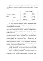 Strateginio valdymo paskaitų teorija 7 puslapis