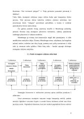 Strateginio valdymo paskaitų teorija 8 puslapis