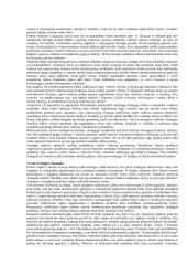 Strateginio valdymo esminės temos 2 puslapis