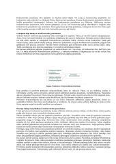 Strateginio valdymo esminės temos 12 puslapis