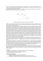 Strateginio valdymo esminės temos 15 puslapis