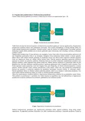 Strateginio valdymo esminės temos 16 puslapis