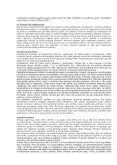 Strateginio valdymo esminės temos 17 puslapis