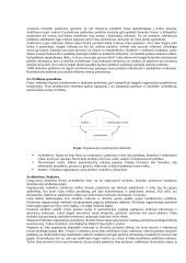 Strateginio valdymo esminės temos 18 puslapis