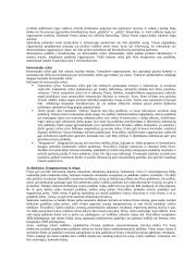 Strateginio valdymo esminės temos 19 puslapis