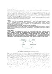 Strateginio valdymo esminės temos 20 puslapis