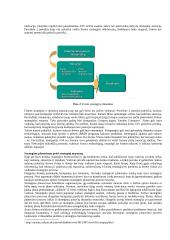 Strateginio valdymo esminės temos 3 puslapis